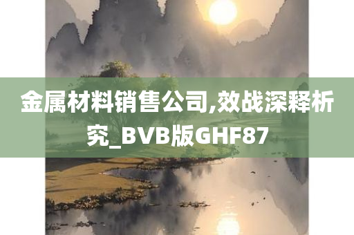 金属材料销售公司,效战深释析究_BVB版GHF87