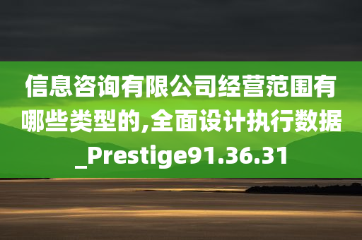 信息咨询有限公司经营范围有哪些类型的,全面设计执行数据_Prestige91.36.31