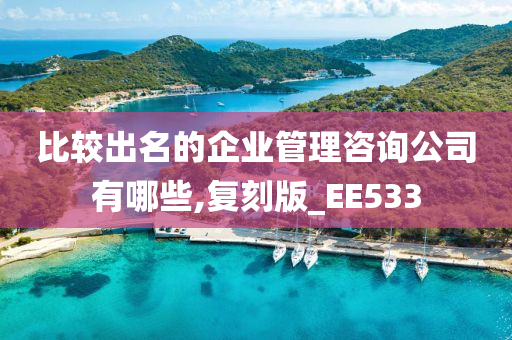 比较出名的企业管理咨询公司有哪些,复刻版_EE533