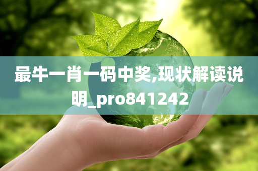 最牛一肖一码中奖,现状解读说明_pro841242