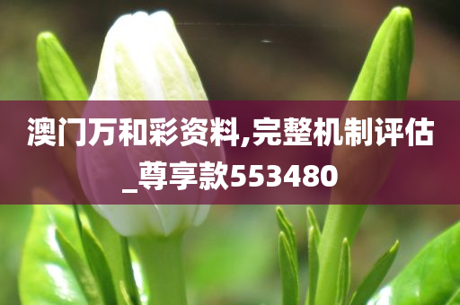 澳门万和彩资料,完整机制评估_尊享款553480