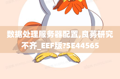 数据处理服务器配置,良莠研究不齐_EEF版?SE44565