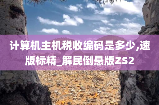 计算机主机税收编码是多少,速版标精_解民倒悬版ZS2