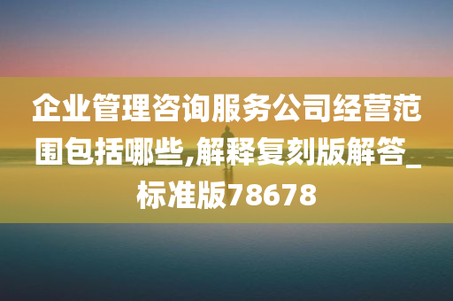 企业管理咨询服务公司经营范围包括哪些,解释复刻版解答_标准版78678