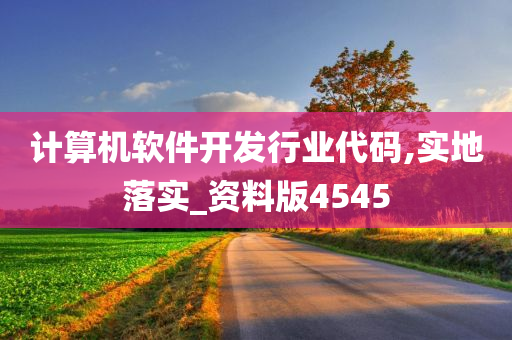 计算机软件开发行业代码,实地落实_资料版4545