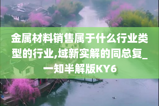 金属材料销售属于什么行业类型的行业,域新实解的同总复_一知半解版KY6