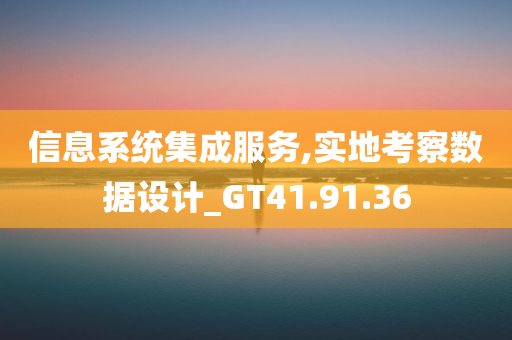 信息系统集成服务,实地考察数据设计_GT41.91.36