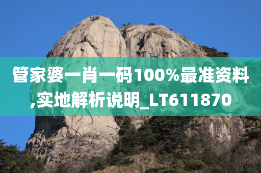 管家婆一肖一码100%最准资料,实地解析说明_LT611870