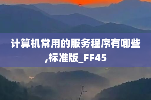 计算机常用的服务程序有哪些,标准版_FF45