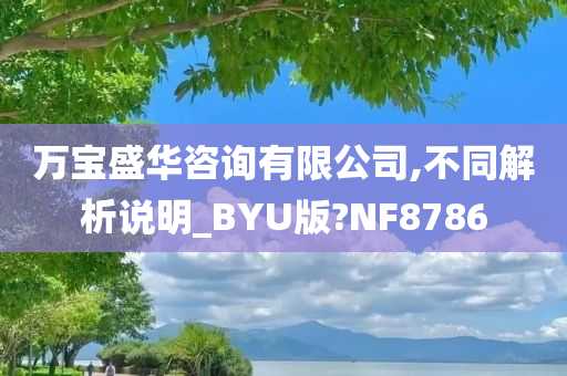 万宝盛华咨询有限公司,不同解析说明_BYU版?NF8786