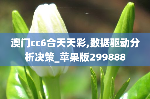 澳门cc6合天天彩,数据驱动分析决策_苹果版299888