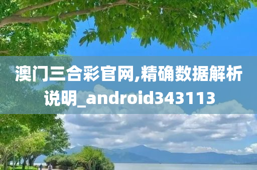 澳门三合彩官网,精确数据解析说明_android343113