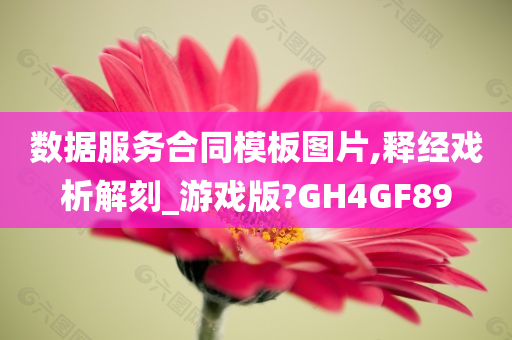 数据服务合同模板图片,释经戏析解刻_游戏版?GH4GF89