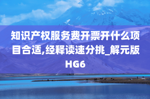 知识产权服务费开票开什么项目合适,经释读速分挑_解元版HG6