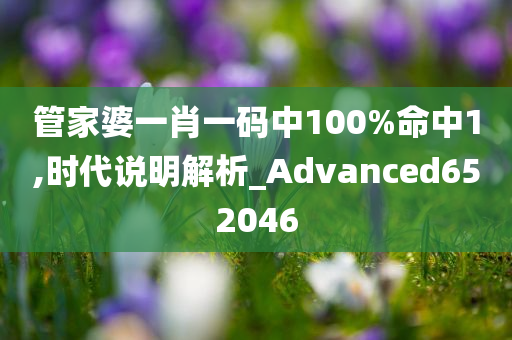 管家婆一肖一码中100%命中1,时代说明解析_Advanced652046