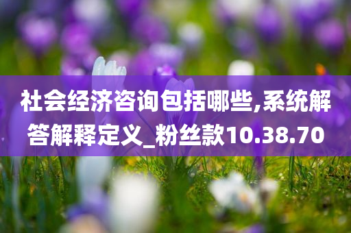 社会经济咨询包括哪些,系统解答解释定义_粉丝款10.38.70