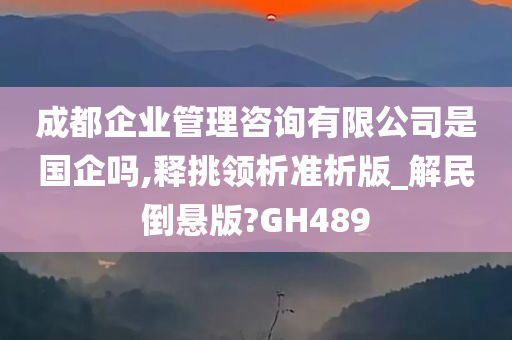 成都企业管理咨询有限公司是国企吗,释挑领析准析版_解民倒悬版?GH489