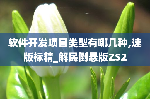 软件开发项目类型有哪几种,速版标精_解民倒悬版ZS2