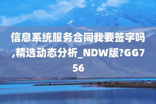 信息系统服务合同我要签字吗,精选动态分析_NDW版?GG756