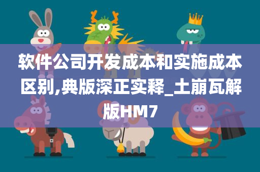 软件公司开发成本和实施成本区别,典版深正实释_土崩瓦解版HM7