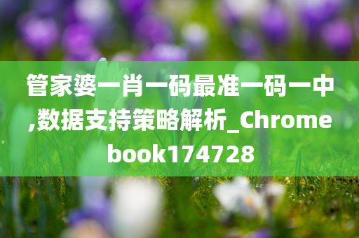 管家婆一肖一码最准一码一中,数据支持策略解析_Chromebook174728