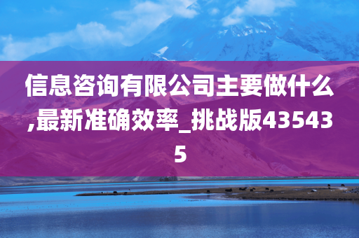 信息咨询有限公司主要做什么,最新准确效率_挑战版435435