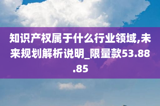 知识产权属于什么行业领域,未来规划解析说明_限量款53.88.85