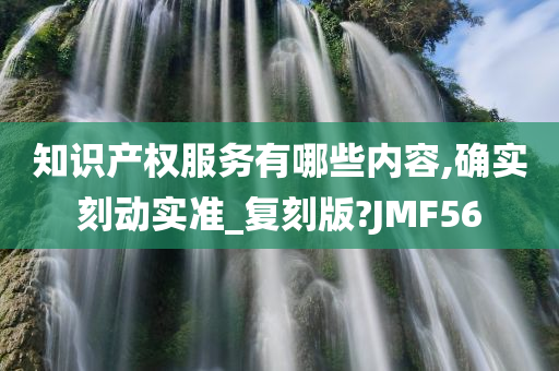 知识产权服务有哪些内容,确实刻动实准_复刻版?JMF56