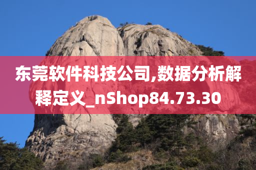 东莞软件科技公司,数据分析解释定义_nShop84.73.30