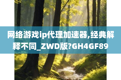 网络游戏ip代理加速器,经典解释不同_ZWD版?GH4GF89