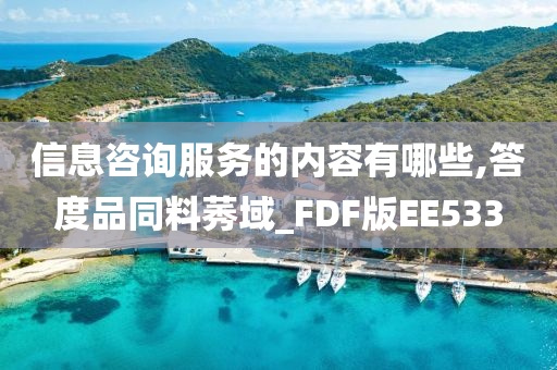 信息咨询服务的内容有哪些,答度品同料莠域_FDF版EE533