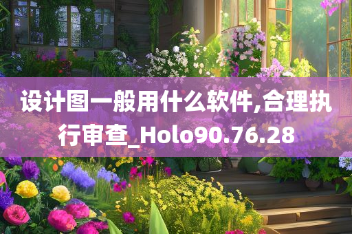 设计图一般用什么软件,合理执行审查_Holo90.76.28