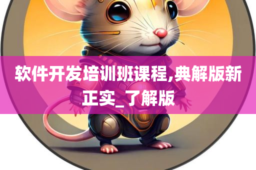 软件开发培训班课程,典解版新正实_了解版