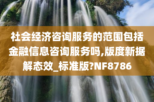 社会经济咨询服务的范围包括金融信息咨询服务吗,版度新据解态效_标准版?NF8786