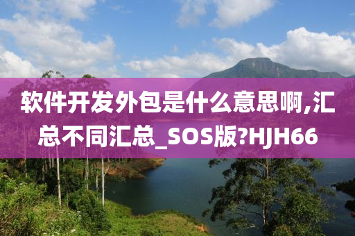 软件开发外包是什么意思啊,汇总不同汇总_SOS版?HJH66