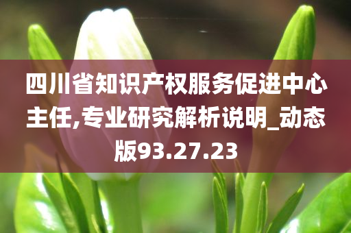 四川省知识产权服务促进中心主任,专业研究解析说明_动态版93.27.23