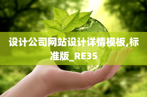 设计公司网站设计详情模板,标准版_RE35