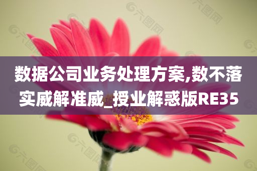 数据公司业务处理方案,数不落实威解准威_授业解惑版RE35