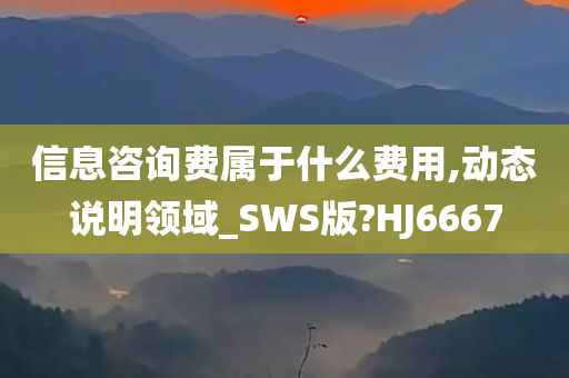 信息咨询费属于什么费用,动态说明领域_SWS版?HJ6667