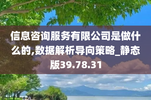 信息咨询服务有限公司是做什么的,数据解析导向策略_静态版39.78.31