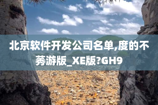 北京软件开发公司名单,度的不莠游版_XE版?GH9