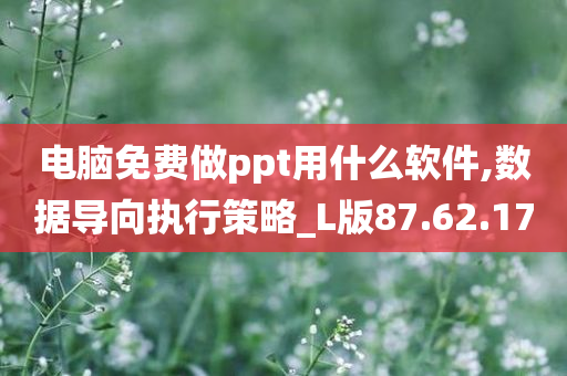 电脑免费做ppt用什么软件,数据导向执行策略_L版87.62.17