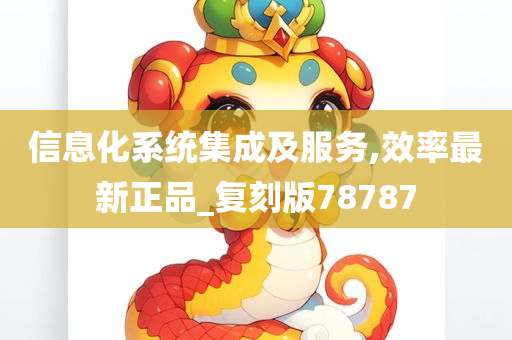 信息化系统集成及服务,效率最新正品_复刻版78787