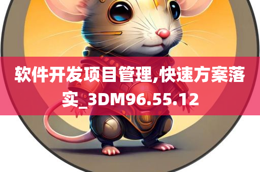 软件开发项目管理,快速方案落实_3DM96.55.12