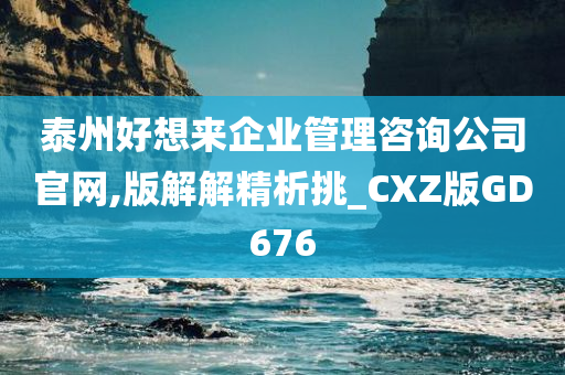 泰州好想来企业管理咨询公司官网,版解解精析挑_CXZ版GD676