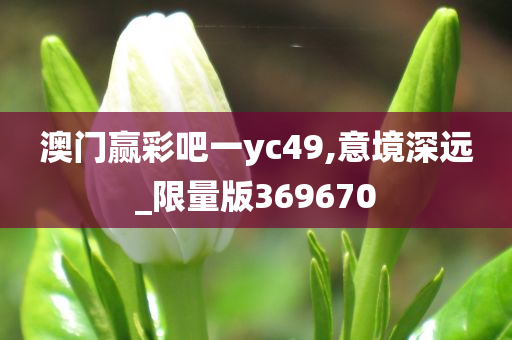 澳门赢彩吧一yc49,意境深远_限量版369670