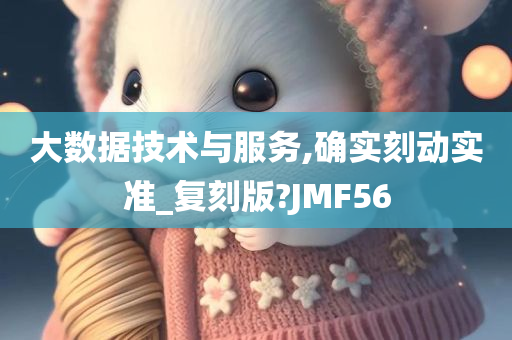 大数据技术与服务,确实刻动实准_复刻版?JMF56