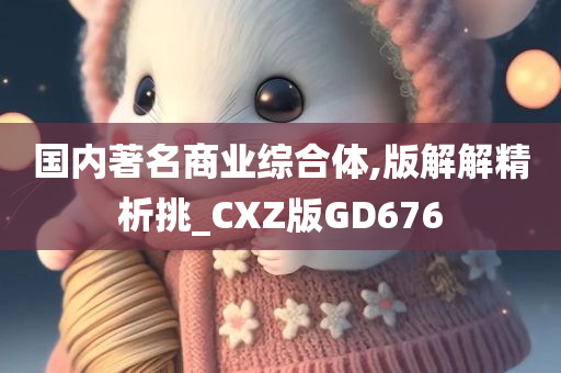 国内著名商业综合体,版解解精析挑_CXZ版GD676