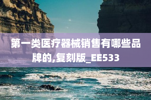 第一类医疗器械销售有哪些品牌的,复刻版_EE533