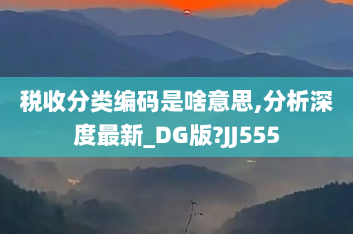 税收分类编码是啥意思,分析深度最新_DG版?JJ555